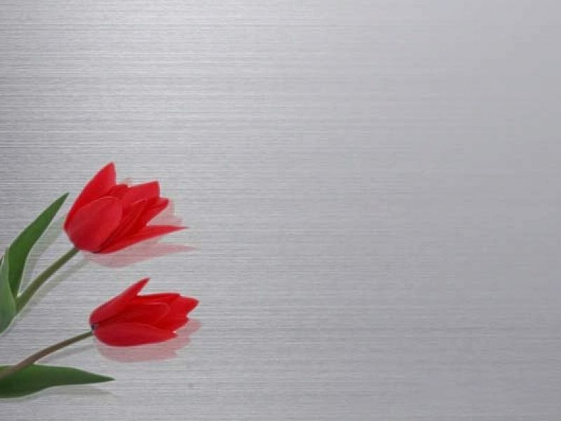 半岛网页版板材201#和304#有什么区别？